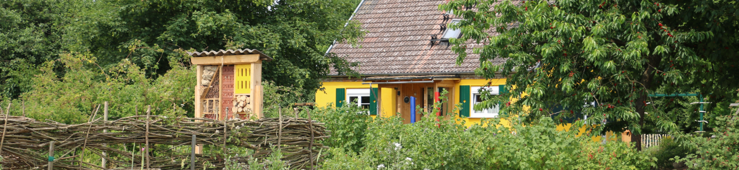Eine blühende Naturwiese mit Insektenhotel